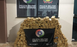 PM apreende 315 kg de maconha em São Lourenço do Oeste 