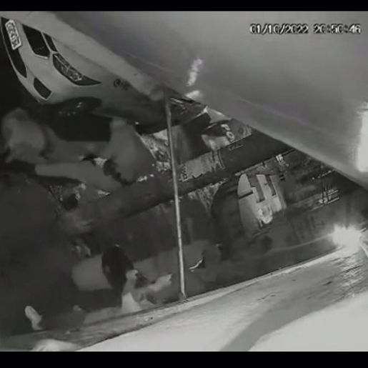 Policial tem a cabeça atingida por botijão de gás durante abordagem em São Paulo; Assista 