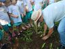 Alunos fazem visita ao Lago Municipal e participam de plantio de árvores em Cedro