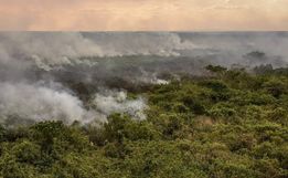 Pantanal poderá ter crise hídrica histórica em 2024, aponta estudo