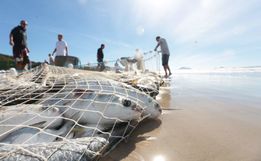 Secretaria da Aquicultura e Pesca busca maneiras de fortalecer atividade no Extremo Oeste