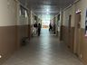Mais da metade dos eleitores já votaram no maior colégio eleitoral de SMO