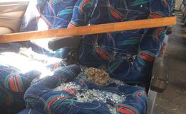 Cinco são presos por roubo após briga de torcidas entre Internacional e Santos em SC