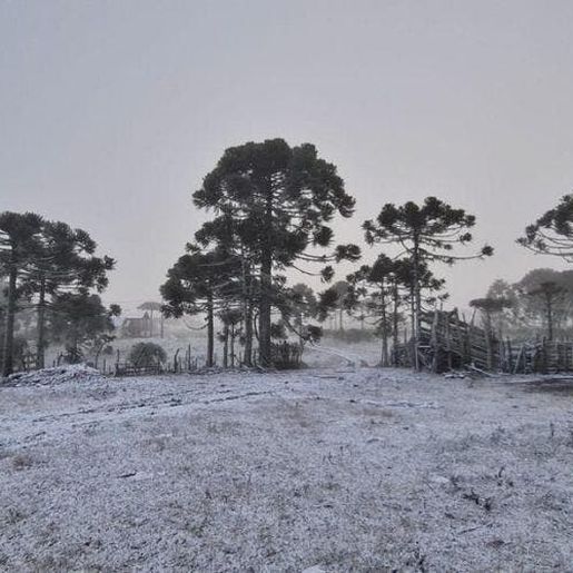 SC tem 3 dias seguidos de neve pela 1ª vez em duas décadas