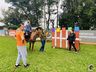 Apae de Itapiranga realiza atividades de Equoterapia com alunos