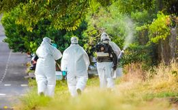 Inseticida contra o mosquito Aedes Aegypti é aplicado em Iporã do Oeste