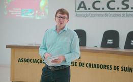 Presidente da ACCS avalia setor da suinocultura em momento de pandemia