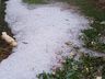 Chuva de granizo atinge municípios da região neste domingo