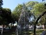 Mondaí define data para o Festival dos Pinheiros e acendimento das luzes de Natal