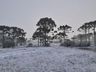 SC tem 3 dias seguidos de neve pela 1ª vez em duas décadas