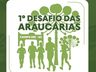 1ª Corrida Noturna Desafio das Araucárias acontece em 6 de dezembro em Campo Erê