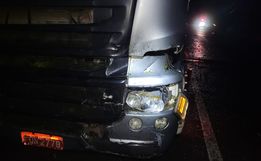 Caminhão colide em árvore caída na SC 163 em Itapiranga