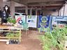 Entrega de mudas de árvores nativas marca Dia Mundial do Meio Ambiente em Iporã do Oeste