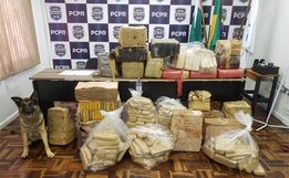 Operação policial apreende mais de 560 quilos de maconha 