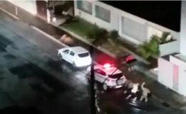 Motorista que nocauteou PM é condenado à mais de 6 anos de prisão em SC