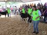 Julgamento de bovinos marca penúltimo dia da 10ª FAIC, em Iporã do Oeste