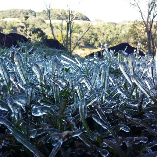 Extremo Oeste deve ter geada negra e temperatura de -5ºC neste final de semana