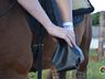 VÍDEO: Relação entre humanos e cavalos traz benefícios para o corpo e mente 