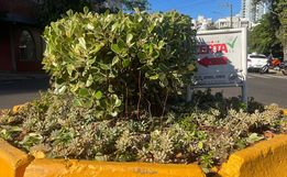 São Miguel do Oeste relança projeto que embeleza ruas com ajuda da comunidade