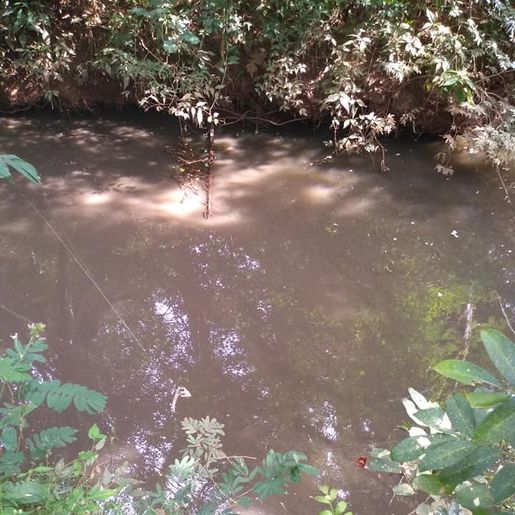 Contaminação por dejetos suspende abastecimento de água em Descanso e Belmonte