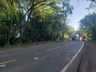 Após ser picado por abelha, motorista perde controle do carro e causa acidente na SC 163