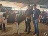 Avaliação de bezerras e novilhas é realizada na 11ª Efrait de Itapiranga