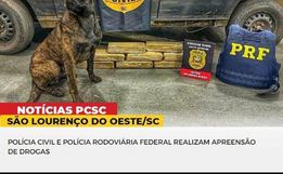Cerca de 14 Kg de maconha são apreendidos em São Lourenço do Oeste