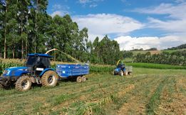 Extremo Oeste espera crescimento de 30% na produção de silagem de milho