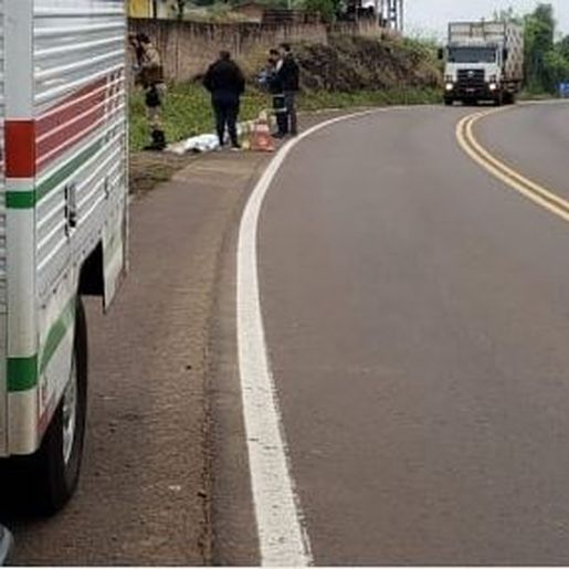 Idoso encontrado morto em Mondaí foi assassinado, autor é preso pela PM 