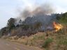 VÍDEO: Aumento de incêndios deixa capacidade de atendimento dos bombeiros no limite 