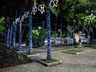 VÍDEO: Iluminação Natalina é ativada em São Miguel do Oeste