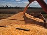 Agricultores tem boa expectativa de produtividade em lavouras