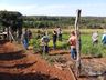 Sobressemeadura de forrageiras anuais de inverno em pastagens perenes é assunto de encontro 