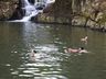 Homem de 37 anos morre afogado no Rio Cambuim