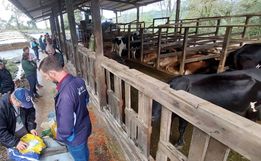 Tunápolis realiza reunião técnica  sobre saúde animal e formulação de dieta leiteira