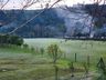 FOTOS: Onda de frio provoca geada em Itapiranga