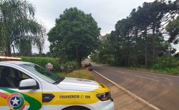 Colisão em árvore deixa condutora com ferimentos leves