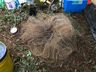 Polícia Ambiental flagra pesca predatória ilegal no rio Peperi-Guaçú