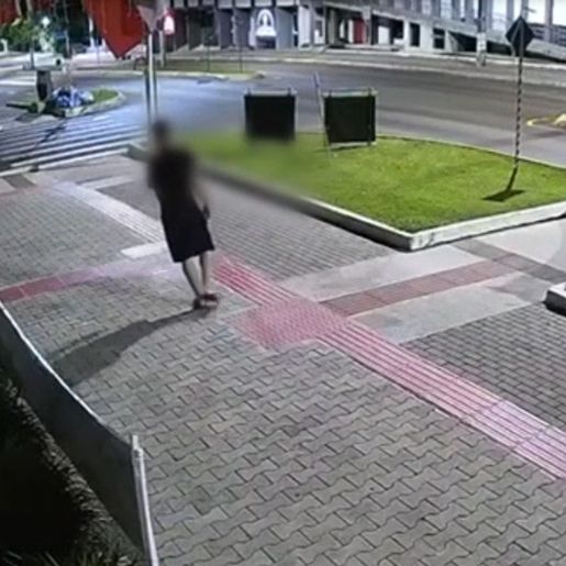 Jovem que danificou campanha social é indiciado por lesão contra tia em Itapiranga