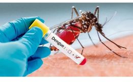 São Miguel do Oeste tem 45 casos de dengue confirmados