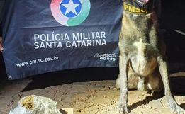 Jovem casal é preso com drogas em operação da PM em Dionísio Cerqueira