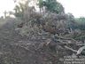 Agricultor é multado em R$ 90 mil por destruir mais de dez nascentes em Marmeleiro