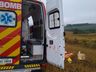 Dois bombeiros ficam feridos em acidente no interior de São Domingos