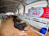 Confira fotos de domingo da maior feira multisetorial da região