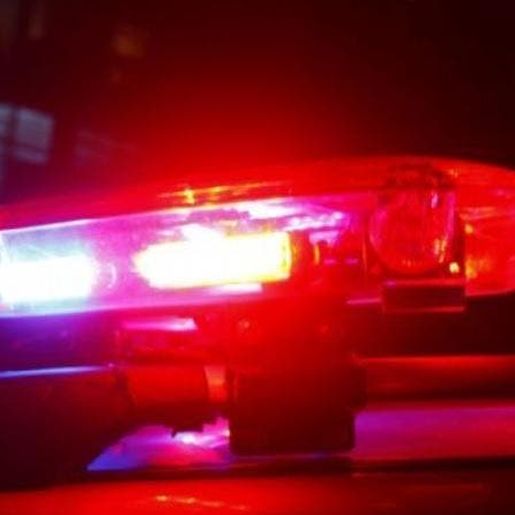 Assaltante invade casa, toma “café da manhã" e foge com celular em SC