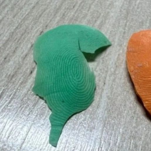 Servidores são presos após fraudar ponto eletrônico com "dedo de silicone" em prefeitura de SC