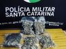 Droga é encontrada em banheiro de ônibus no distrito de São Roque