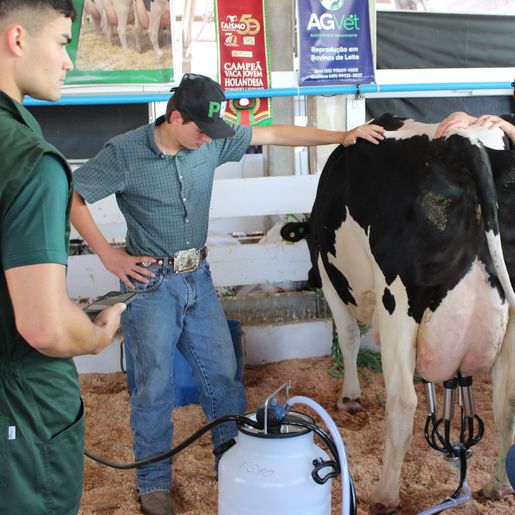 Primeira ordenha do Torneio Leiteiro é realizada na Faismo 2025