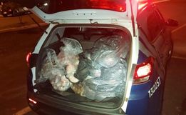 Bandidos arrombam feira e furtam 150 kg em salames e carnes em Chapecó