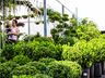 Central Flor, Floricultura e Paisagismo inaugura em São Miguel do Oeste